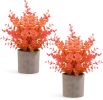 2 Pack Fall Small Fake Plants Eucalyptus Potted Artificial Plants Fall Decorations for Home Shelf Office Bathroom Desk Farmhouse Room Coffee Table Dec