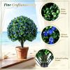 2 Pack 27.5 Inch Artificial Camellia Boxwood Topiary Ball Trees Faux Floral Shrubs for Home Decor