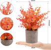 2 Pack Fall Small Fake Plants Eucalyptus Potted Artificial Plants Fall Decorations for Home Shelf Office Bathroom Desk Farmhouse Room Coffee Table Dec