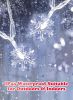 2 Pack Christmas Snowflakes Lights, 26 Ft 50 LED Snowflake String Lights Battery Operated