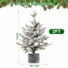 2FT Flocked Christmas Tree with Pot 30 Pre-Lit Warm White LED Lights 3 Pine Cone Decorations Potted Artificial Christmas Tree for Tabletop Bedroom Man